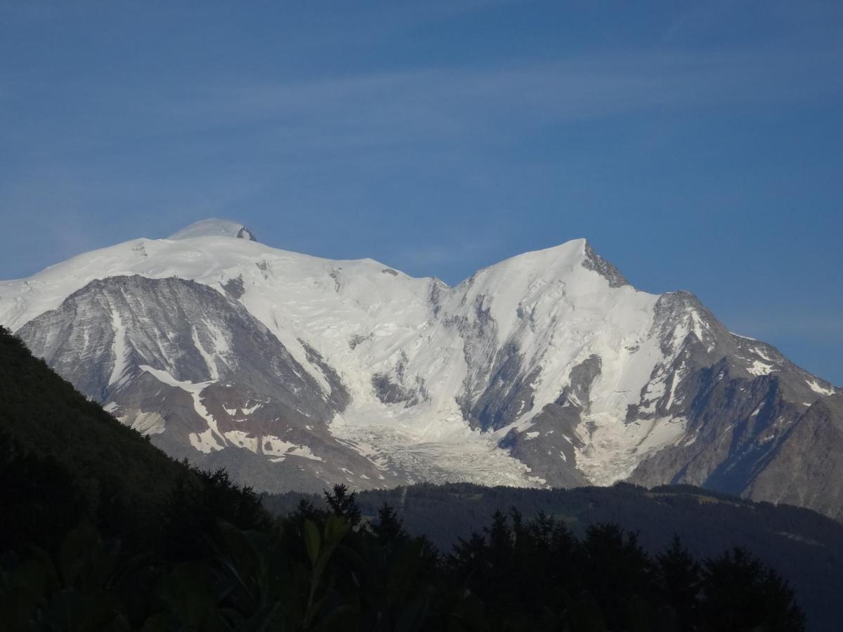 Mont Blanc Holidays Dans Residence Avec Gardien Sallanches Exterior foto